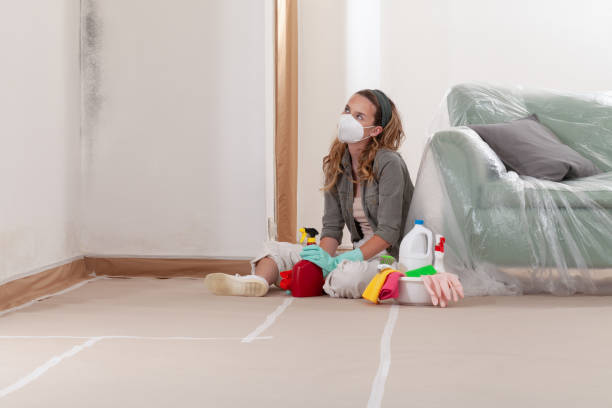 Reliable Hvac And Air Duct Mold Remediation contractor in Maplewood, MN by 24 Hour Mold Removal